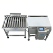 Automatic High-Capacity Bag Checkweigher Large Bag Packaging Conveyor Checkweigher