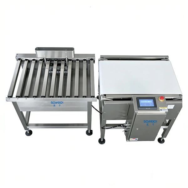 Automatic High-Capacity Bag Checkweigher Large Bag Packaging Conveyor Checkweigher