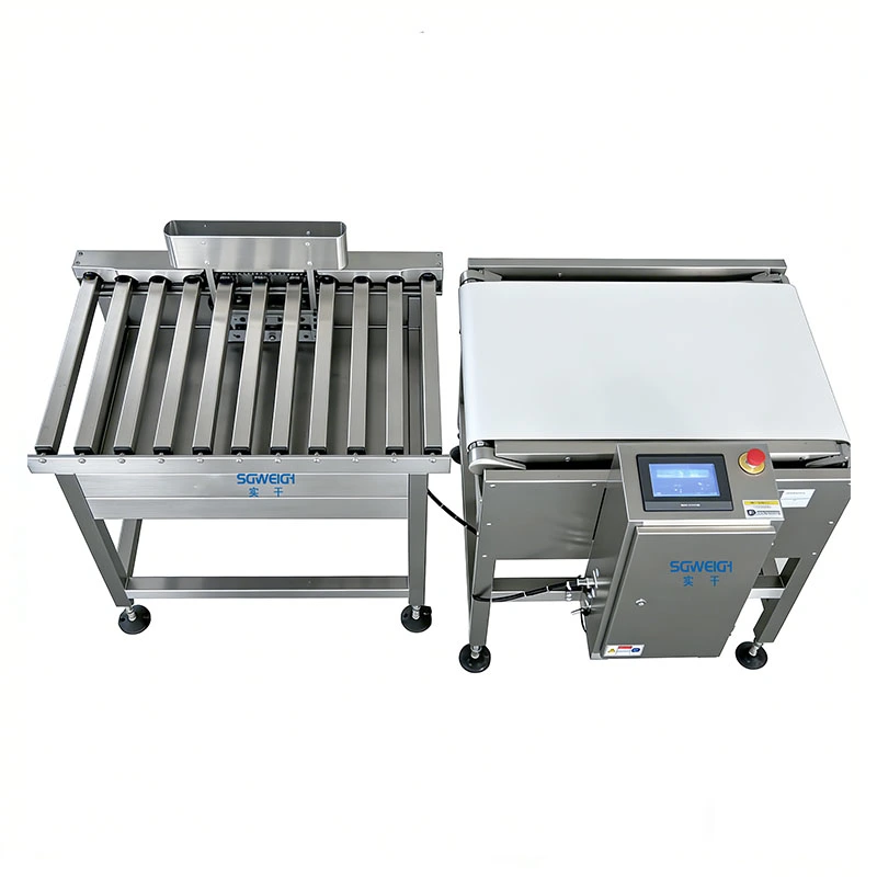 Automatic High-Capacity Bag Checkweigher Large Bag Packaging Conveyor Checkweigher