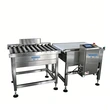 Automatic High-Capacity Bag Checkweigher Large Bag Packaging Conveyor Checkweigher