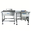 Automatic High-Capacity Bag Checkweigher Large Bag Packaging Conveyor Checkweigher