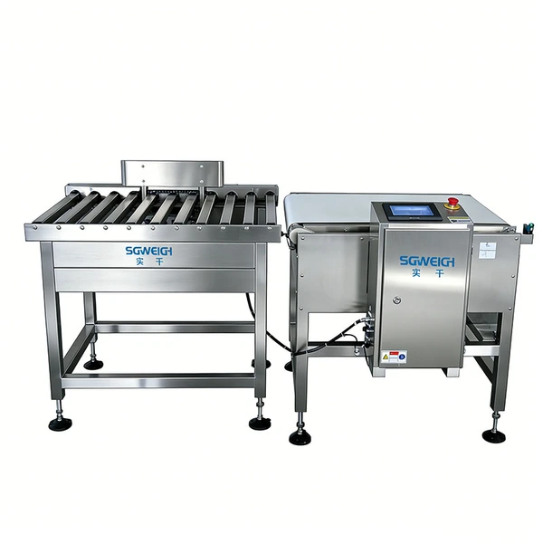 Automatic High-Capacity Bag Checkweigher Large Bag Packaging Conveyor Checkweigher