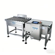 Automatic High-Capacity Bag Checkweigher Large Bag Packaging Conveyor Checkweigher