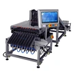 High-Speed Multi-Lane Checkweigher for Gel Sachets Industrial Check Weigher