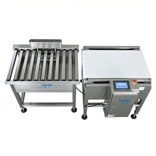 50kg High Capacity Industrial Checkweigher Dynamic Heavy Package Weight Checker