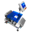 Pharmaceutical 6-Lane Stick Pack Checkweigher Auto Multi-Lane Checkweigher