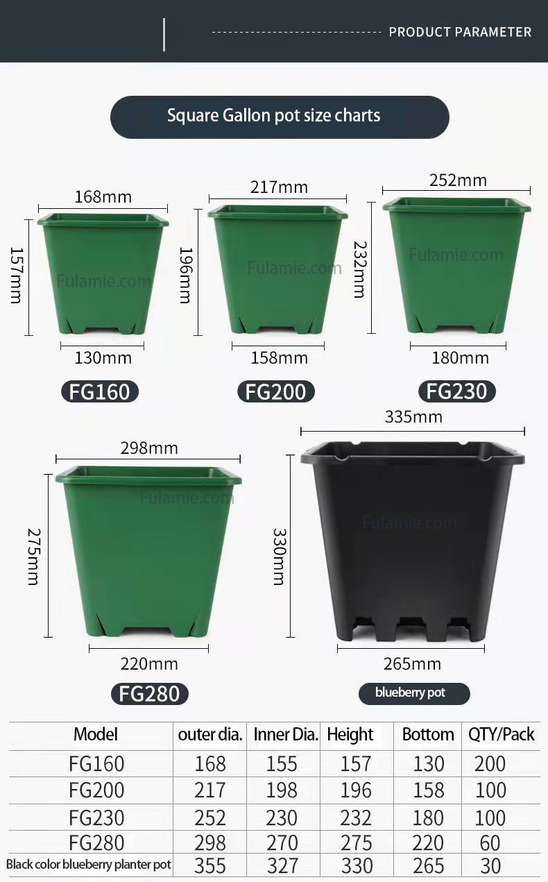 blueberry planters.jpg