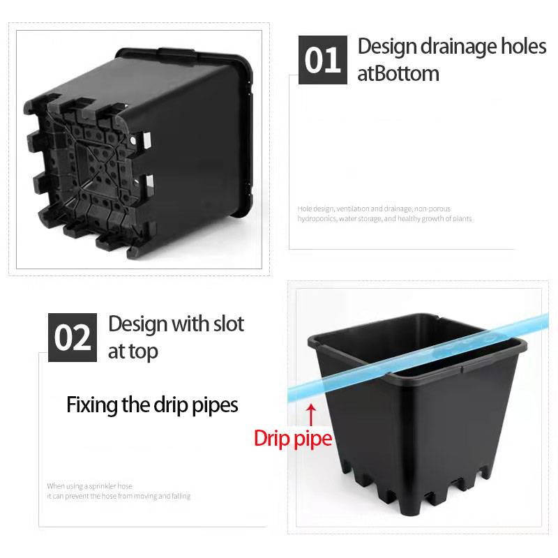 square gallon pots 4.jpg