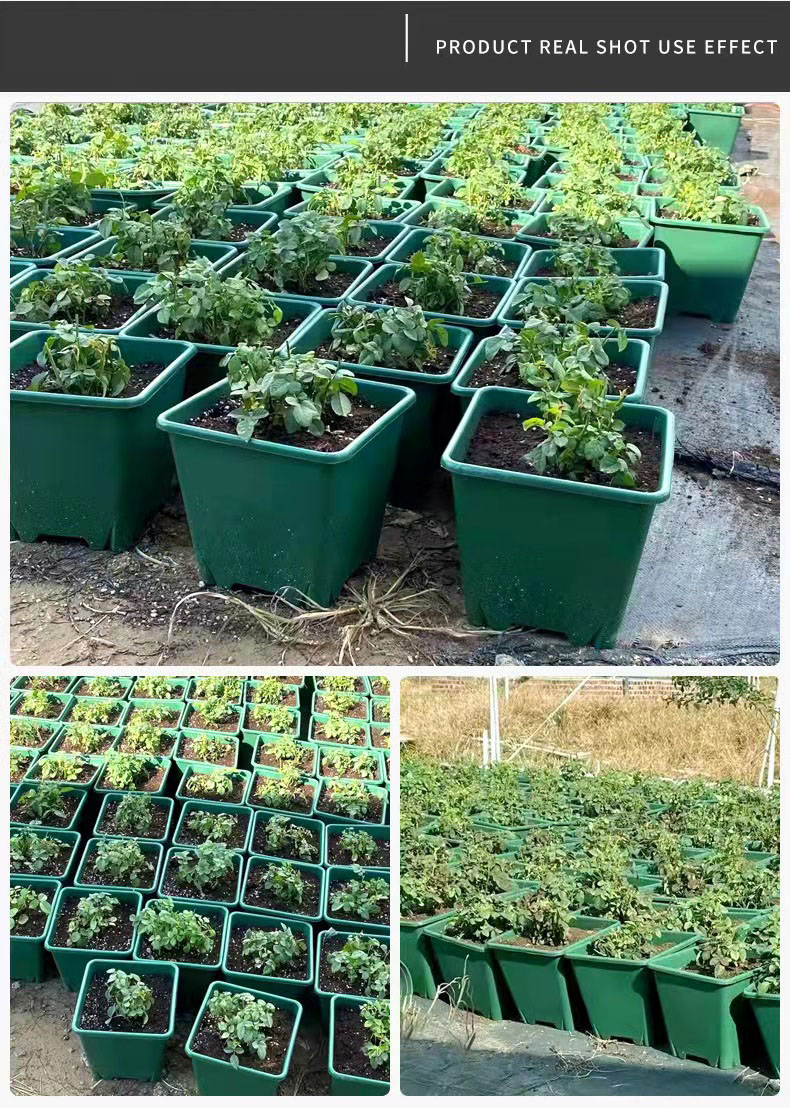square gallon pots 7.jpg