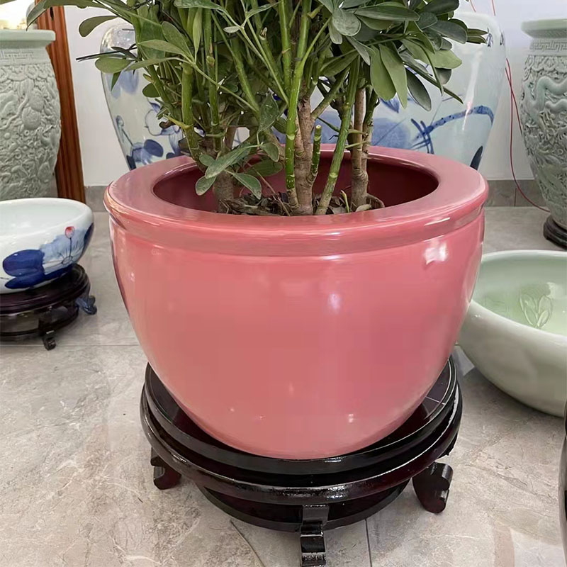 ceramic planter pots.jpg