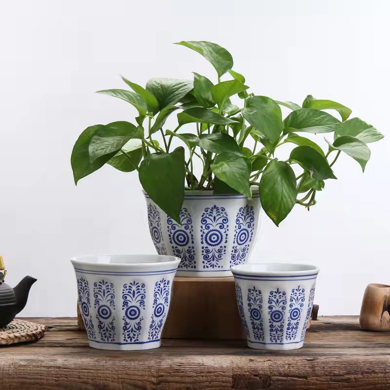 indoor plant pottery .jpg