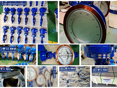 حالة صمام zg شراء مخازن الصمام الأوروبي zg صمام منتجات صمام فراشة غريب الأطوار الثلاثي المصبوب