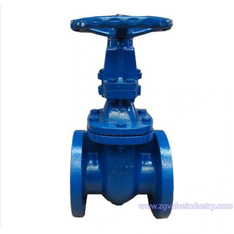 ansi class125/class150 trzpień wznoszący z twardą uszczelką zasuwa——zawór zg 