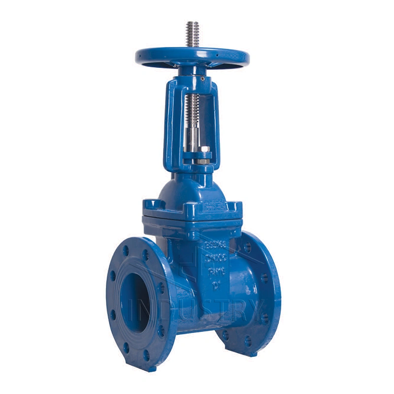 bs5163/it 1171 pn10/pn16 valvola a saracinesca con sede resiliente a stelo saliente——valvola zg 