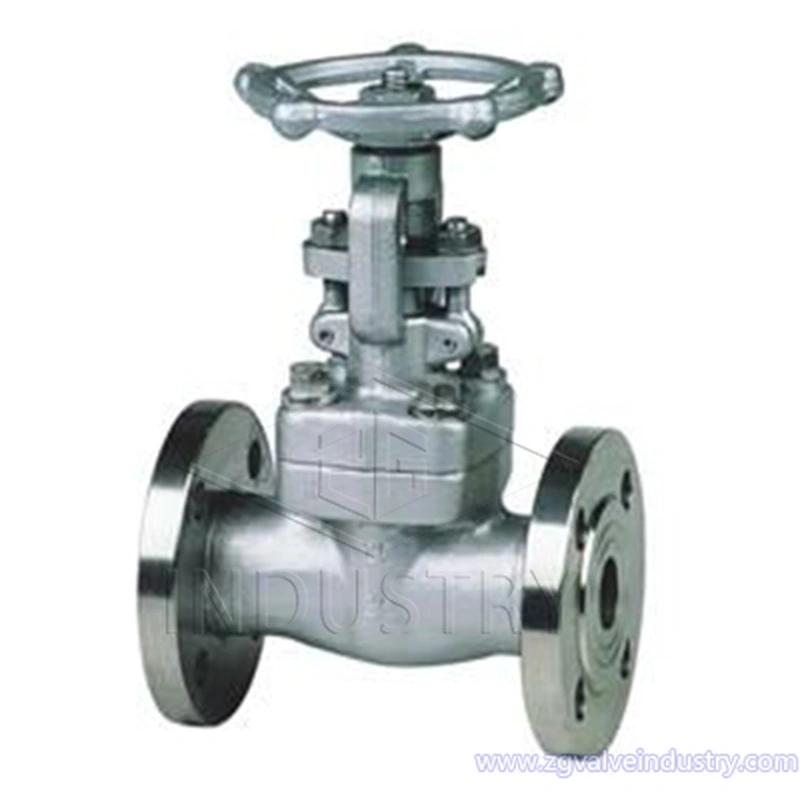 хуурамч ган хаалга хавхлага 150lb/300lb/600lb/900lb/1500lb 