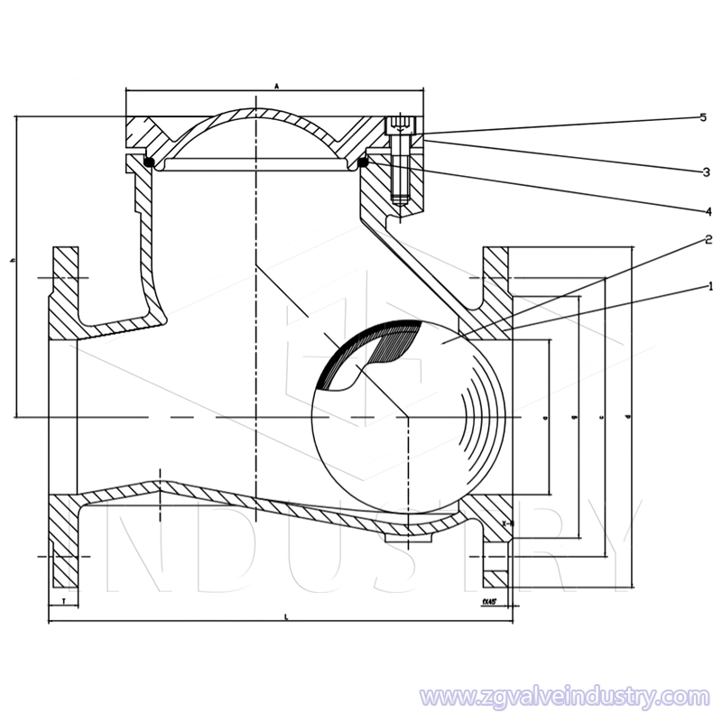 válvula de retención de bola tipo brida de hierro fundido / hierro dúctil —— válvula zg 
